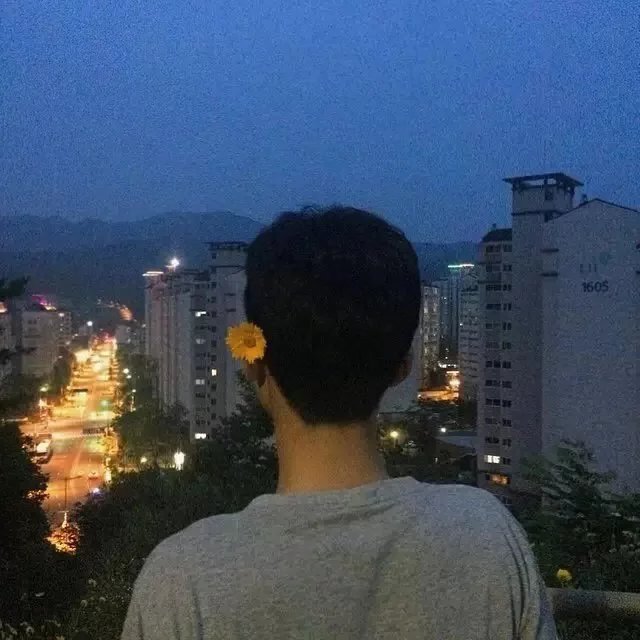 花菊仪丽